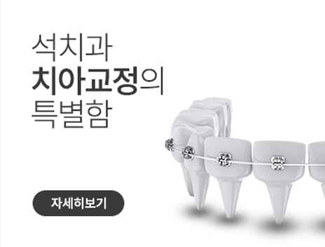 치아교정